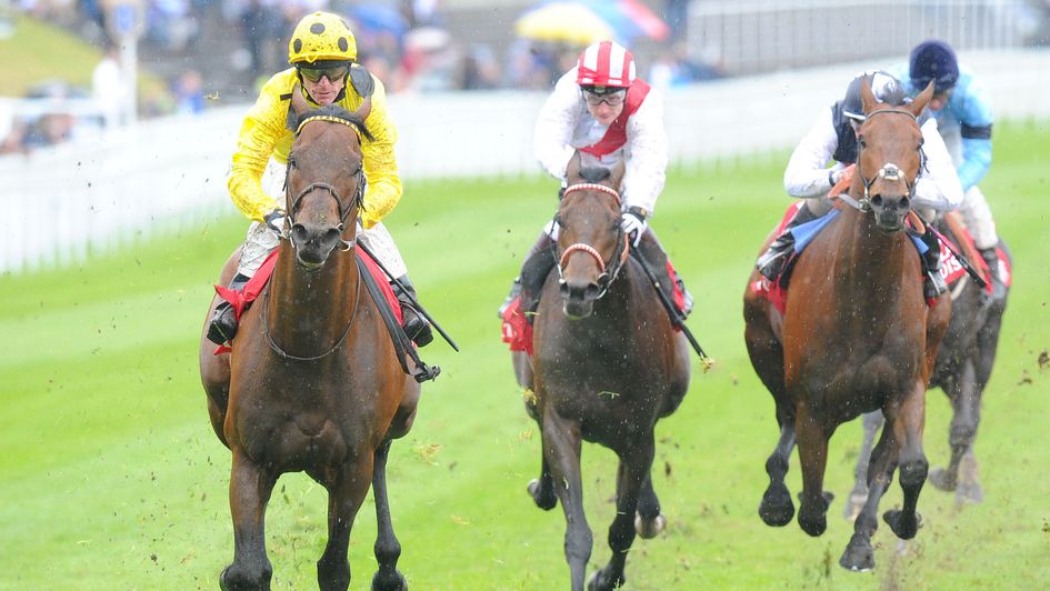 Danadana winning at Chester