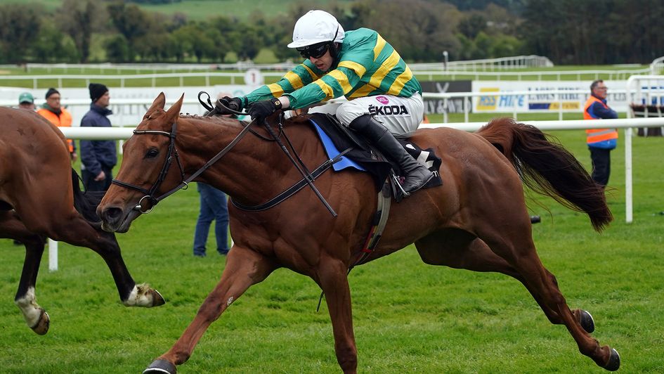 Mark Walsh riding Dinoblue