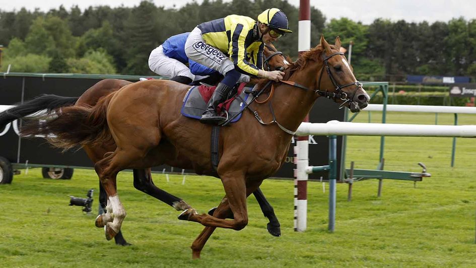 Whoputfiftyinyou wins at Haydock