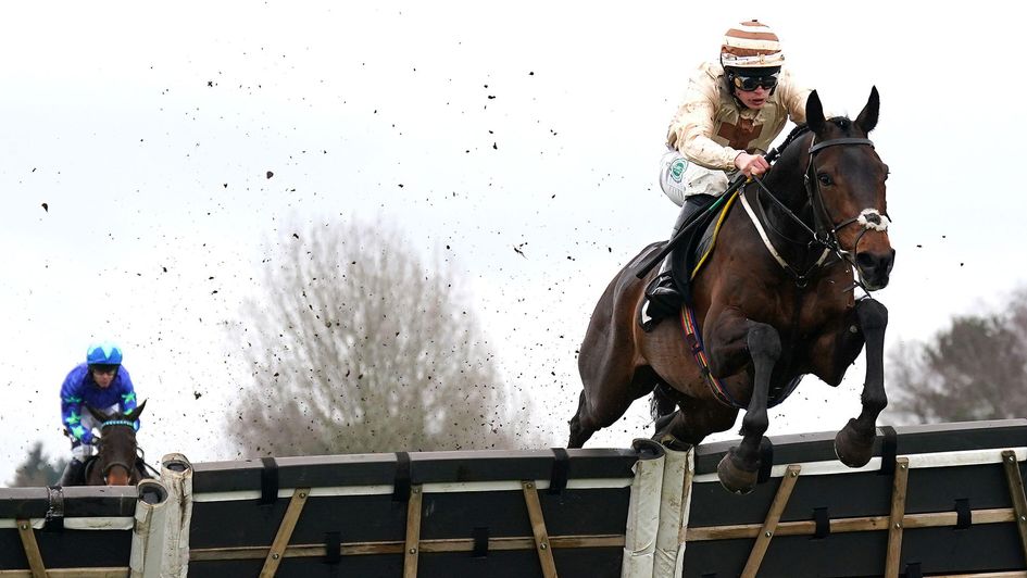 Broadway Boy in action over hurdles