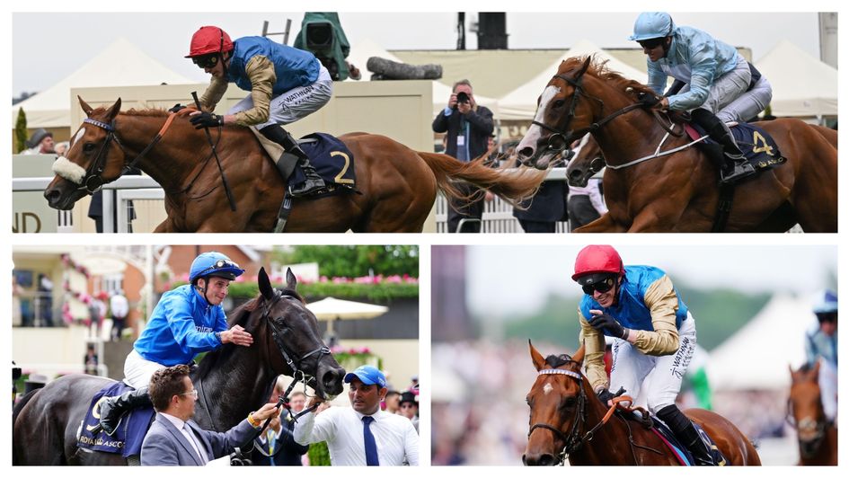 Saturday was a stellar day for Wathnan and Rebel's Romance