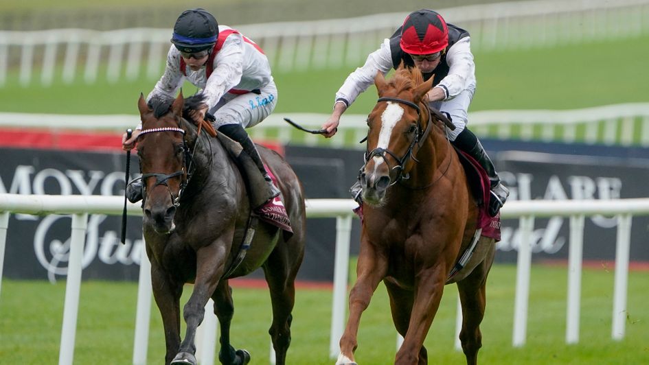 Kyprios has the measure of Hamish in the Irish St Leger