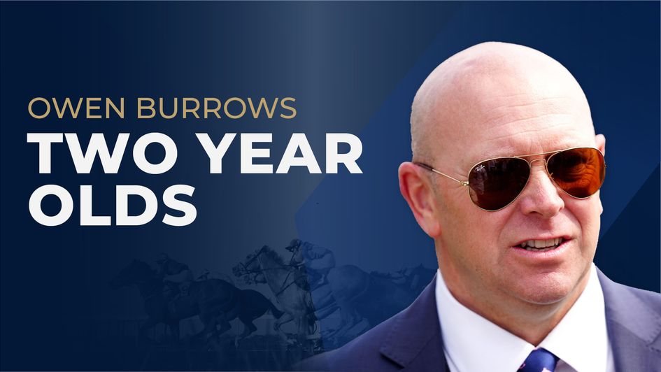 Owen Burrows Two-Year-Old Guide