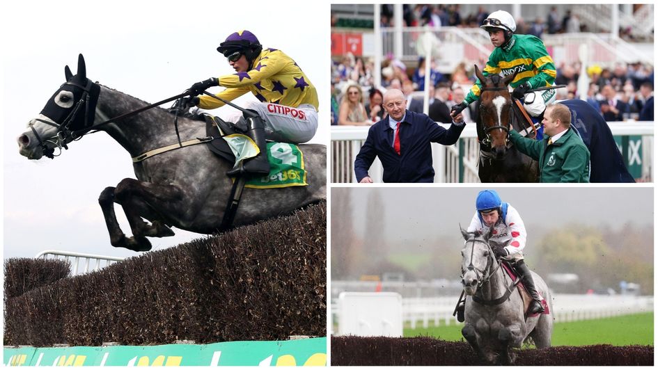 Who will win the Tingle Creek?