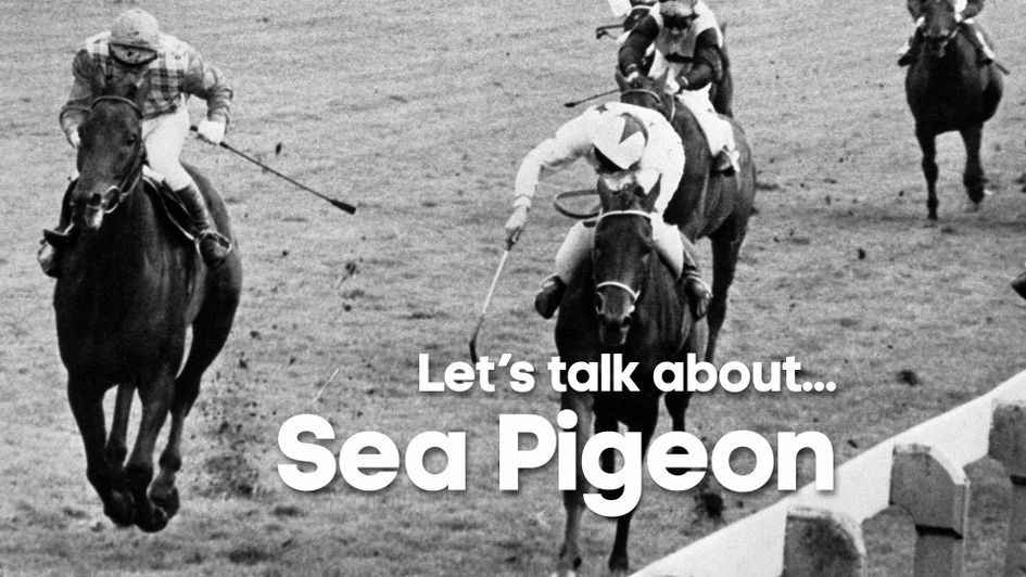 Sea Pigeon (left) gets up to win the 1979 Ebor
