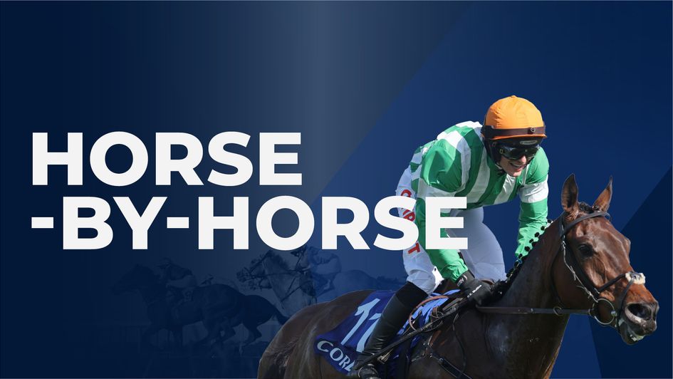 Scottish Grand National horse-by-horse guide