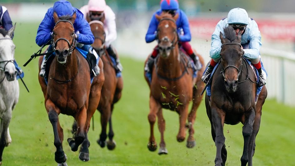 Primo Bacio (right) will contest a Group 1 at Deauville