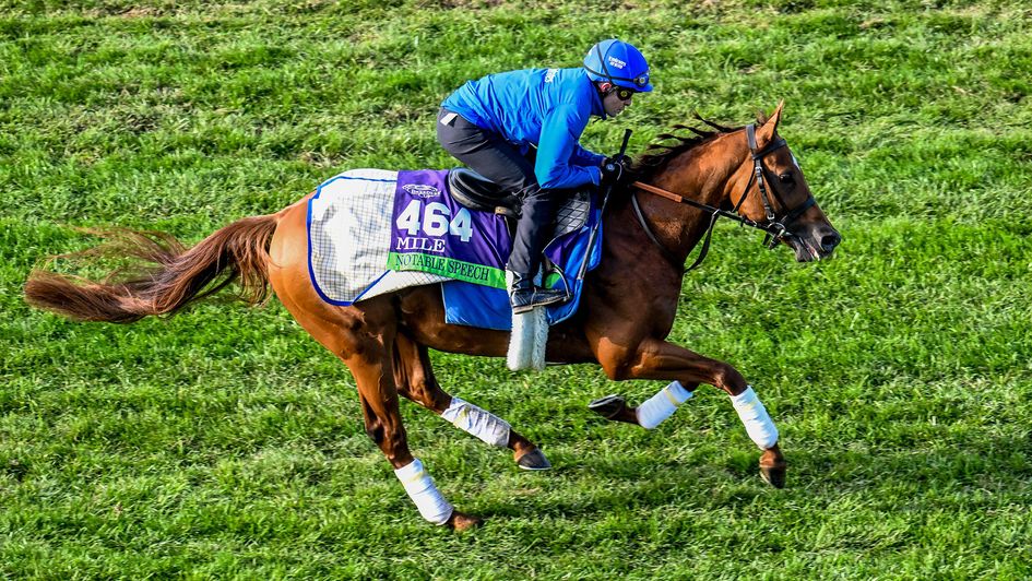 Notable Speech is favourite for a repeat in the Breeders' Cup Mile