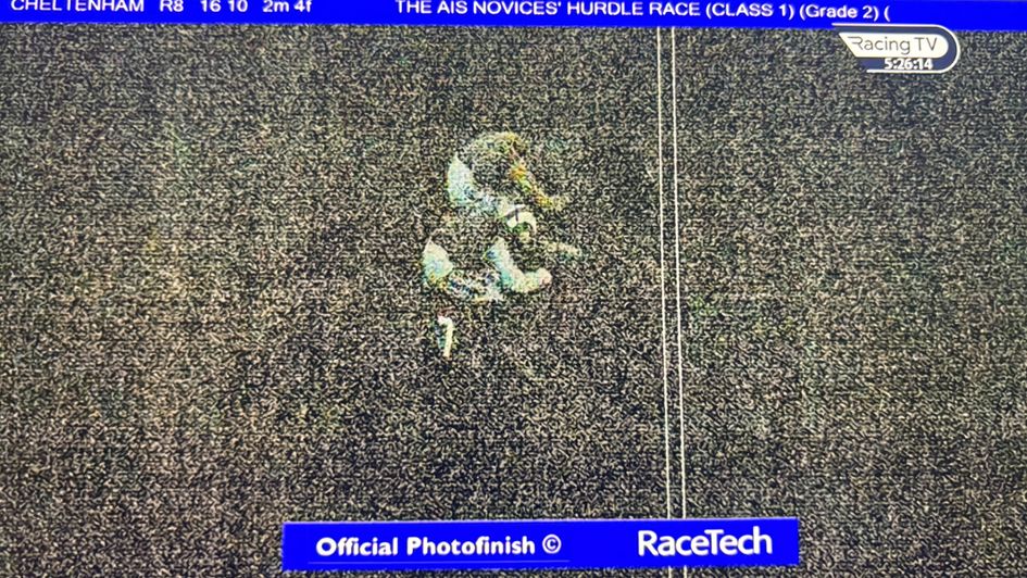 The official photo from the last at Cheltenham