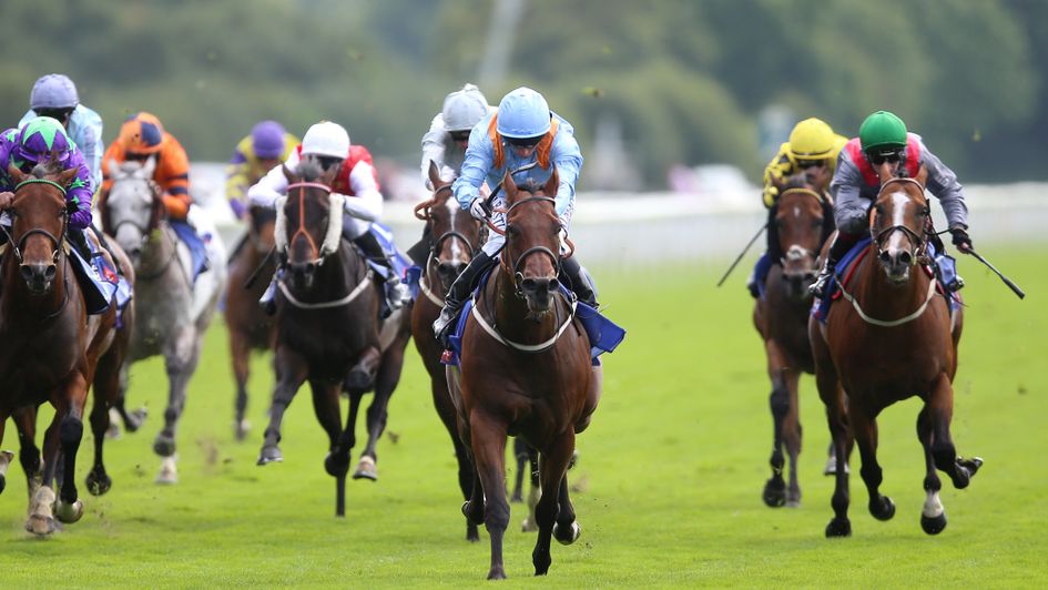 Copper Knight wins at the Ebor Festival