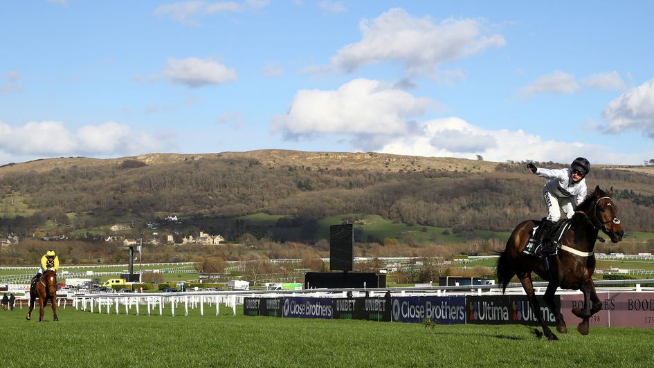 It's easy for Constitution Hill in the Champion Hurdle