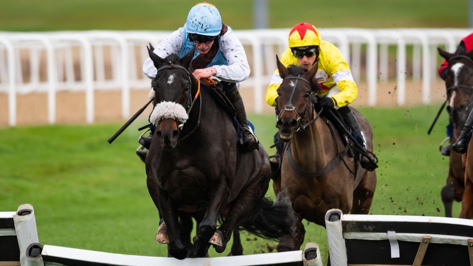 Zanndabad at the last before winning at Newcastle