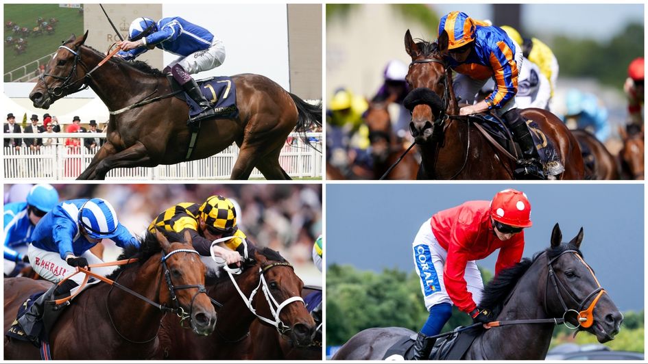 Some of the star names in Saturday's July Cup