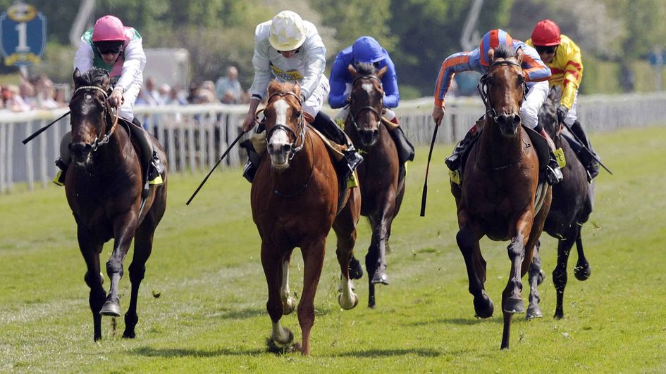 Tartan Bearer battles to victory in the Dante