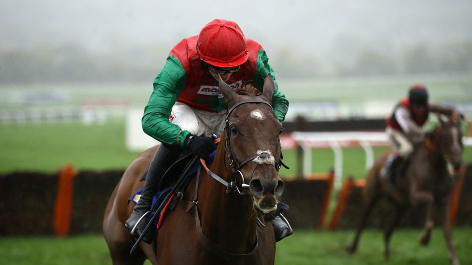 Quel Destin wins at Cheltenham