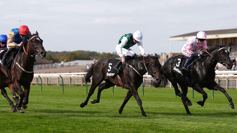 Pensando A Te (right) wins a thrilling Rockfel