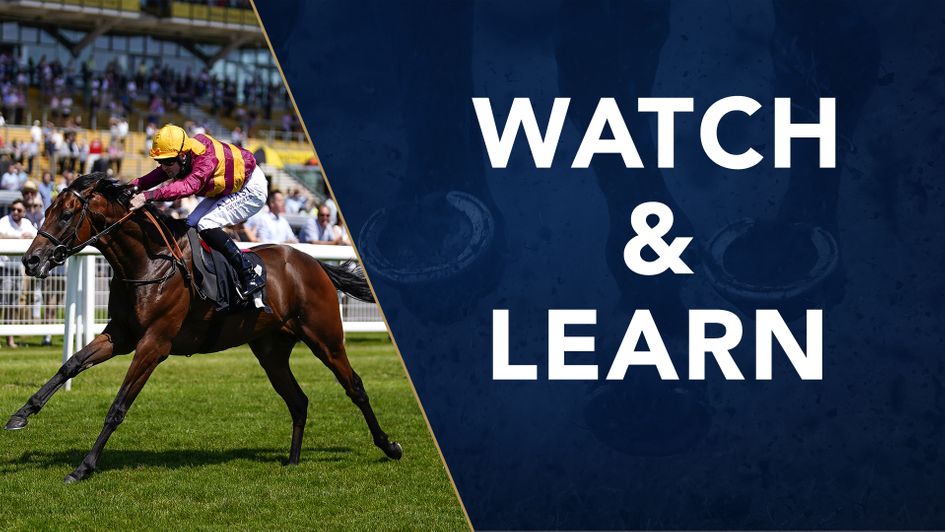 Bayside Boy looks a progressive horse