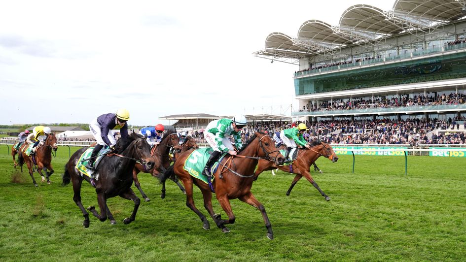 Woodhay Wonder wins at Newmarket