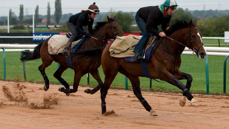Toast Of New York: Returns at Lingfield