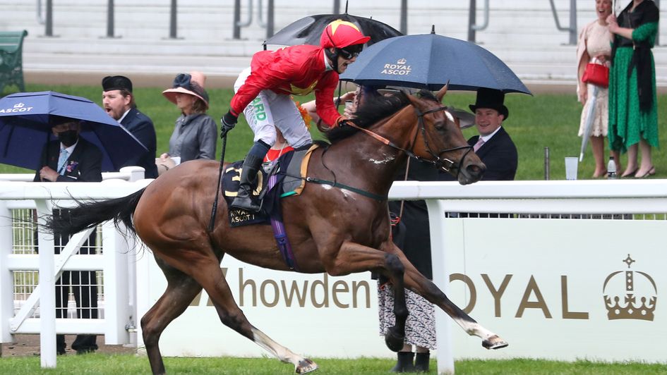 Jason Hart celebrates on Highfield Princess