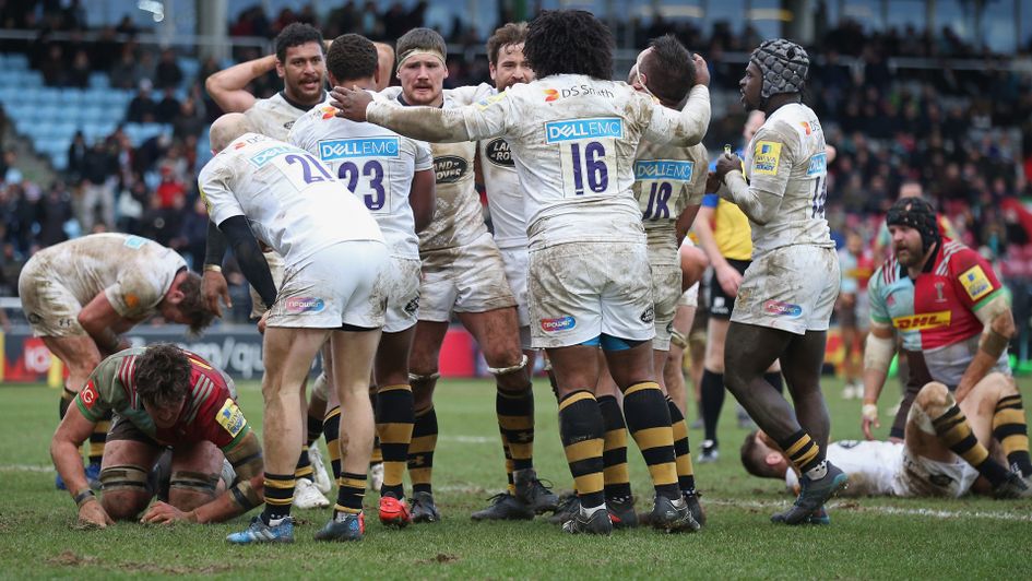 Celebrations for Wasps