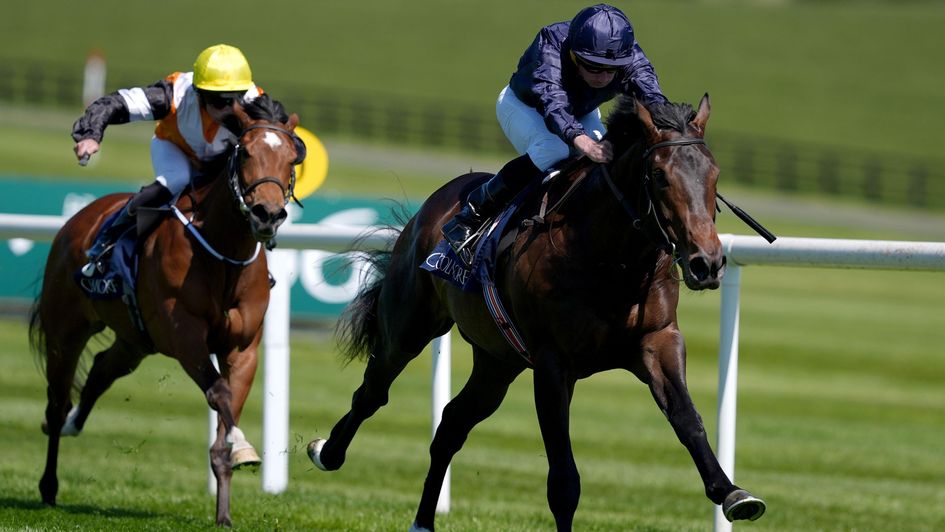 Charles Darwin powered to an impressive win at Naas