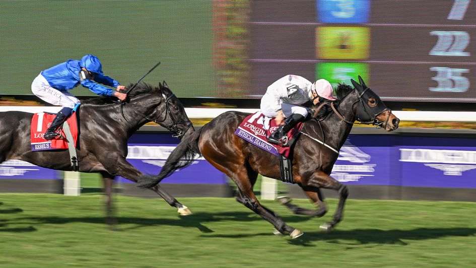 Ethical Diamond beats Rebel's Romance (credit: Breeders' Cup)