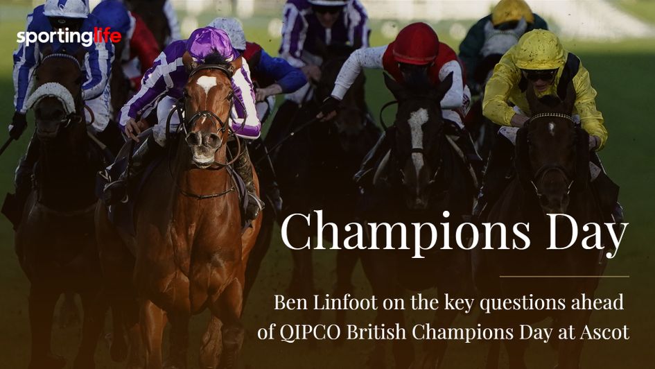 Is Magical the key horse in the Champion Stakes?