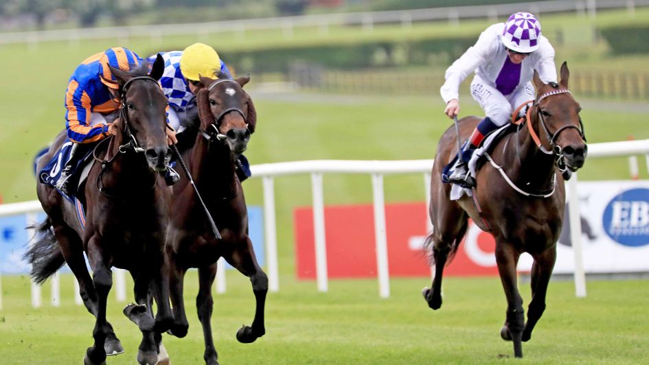 Meditate is well on top at Naas