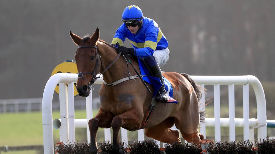 Dysart Dynamo thrashes his rivals at Punchestown