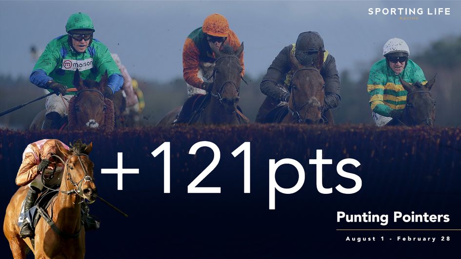 The Punting Pointers team continue to fire in the winners