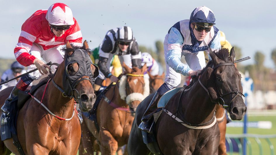 Son Of Rest and Baron Bolt dead-heat in the Ayr Gold Cup