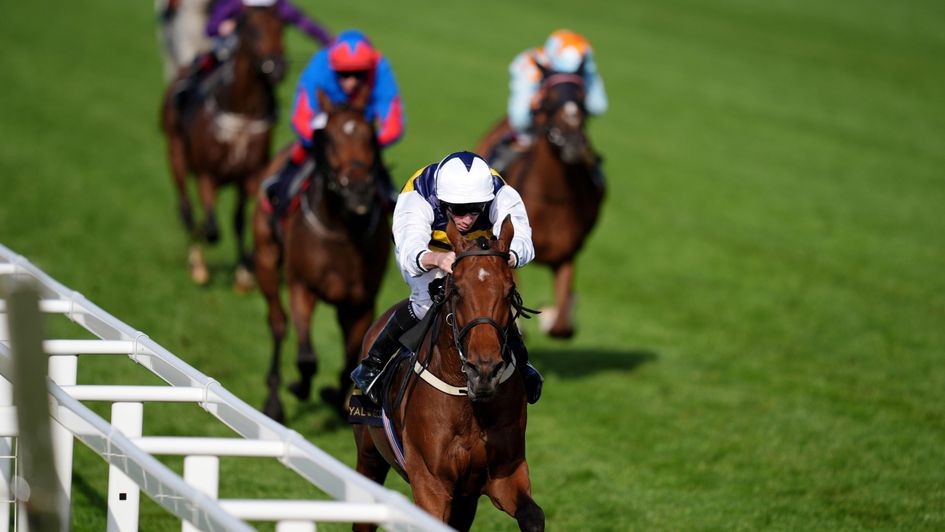 Sober - entered in Sky Bet Moscow Flyer