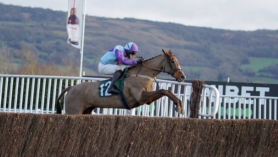 Madera Mist produces a fine jump at the last