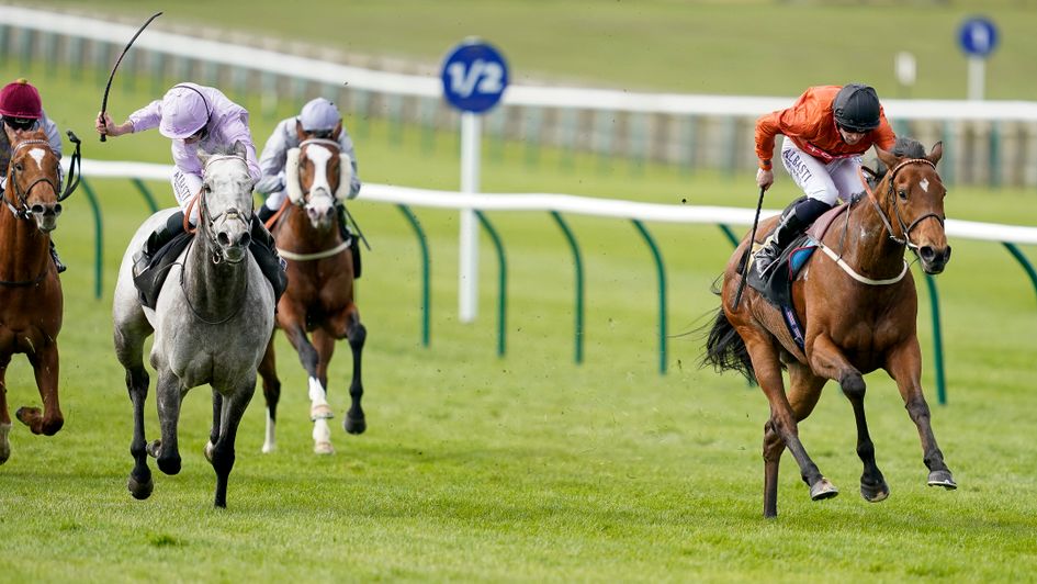 Garrus (left) tries to close down Double Or Bubble