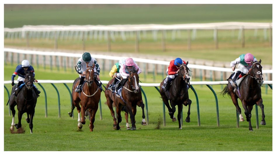 Blue Bolt (far right) goes clear in the Sun Chariot