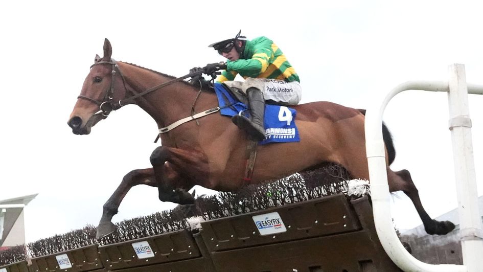 Narcisco Has on his way to Grade One glory