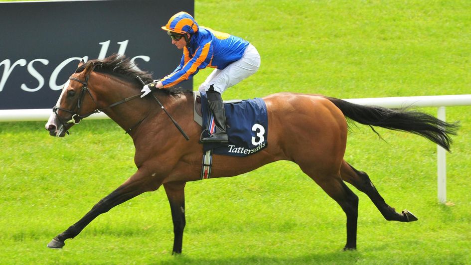 Lancaster Bomber scores at the Curragh