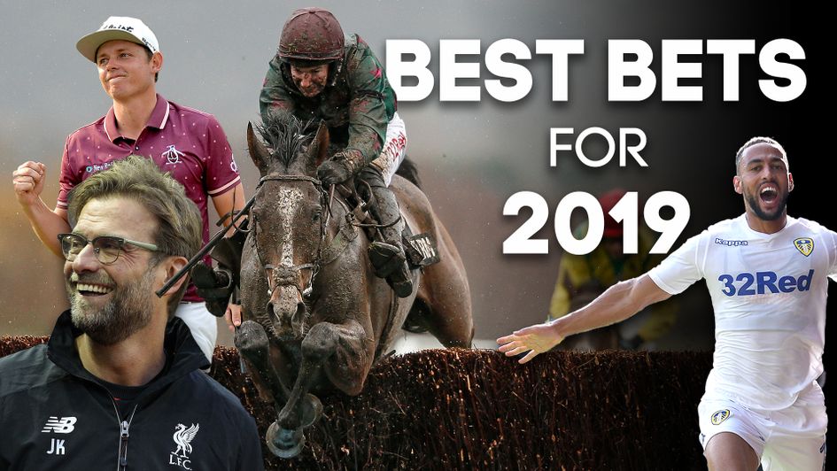 Our team highlight their best bets for the year ahead
