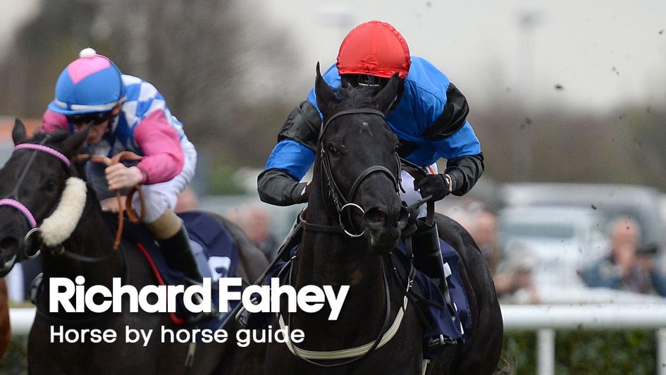 Requinto Dawn in action