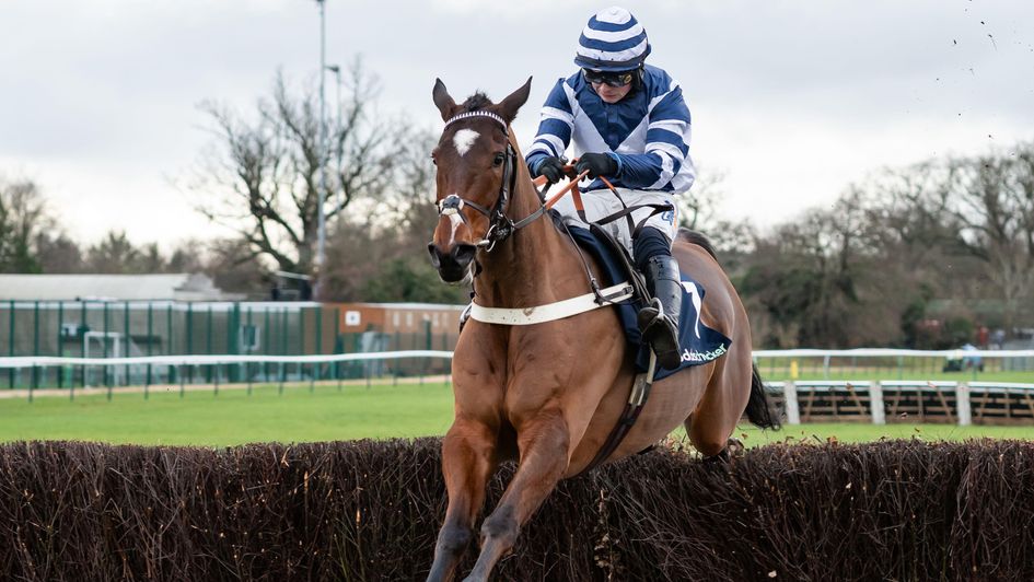 Steel Ally wins the Kingmaker