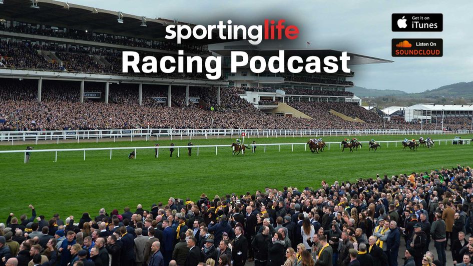 Cheltenham chat in this week's edition