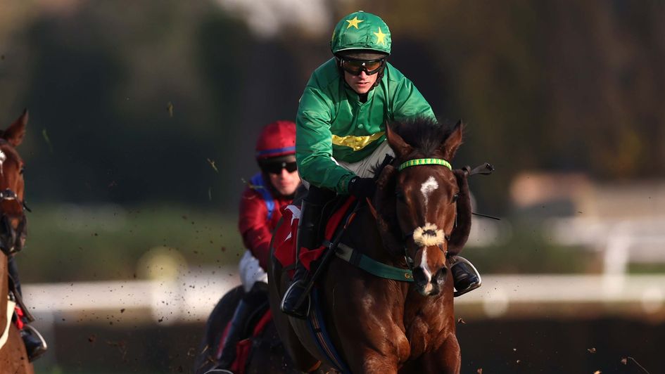 Penna Rossa in action