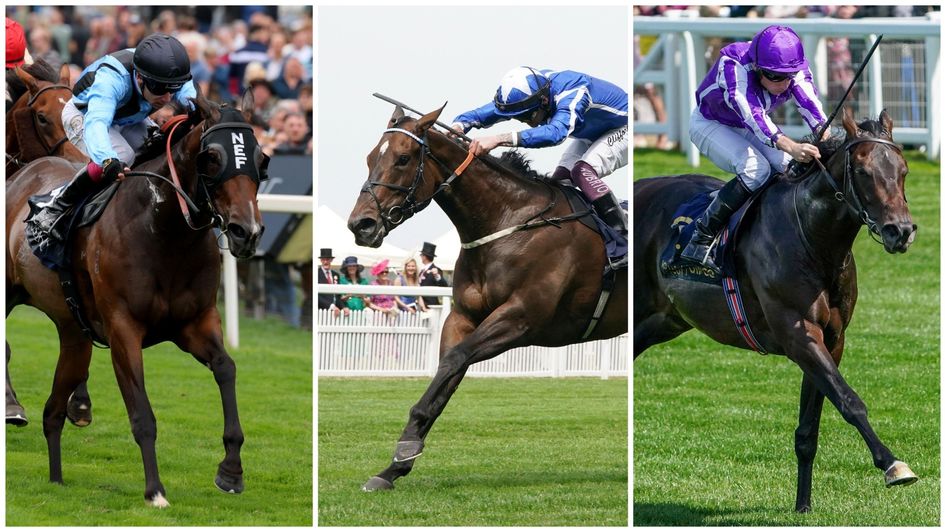 Asfoora, Venetian Sun and Gstaad