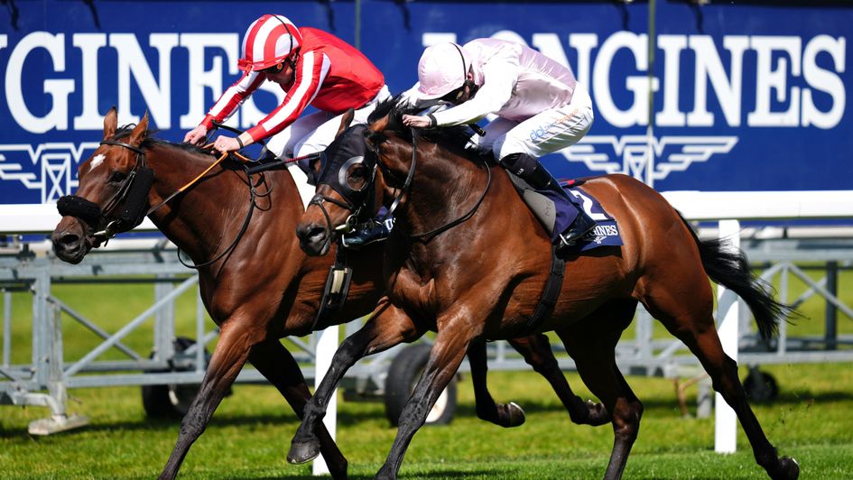 Sweet William wins the Sagaro