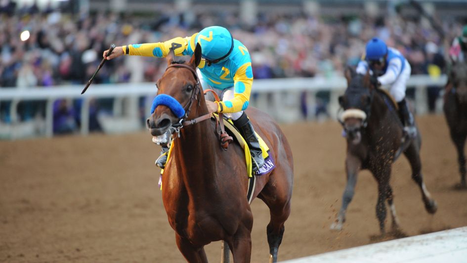 American Pharoah wins the Classic