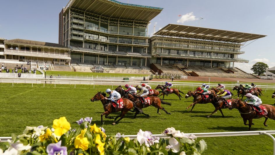 Copper Knight wins again at York