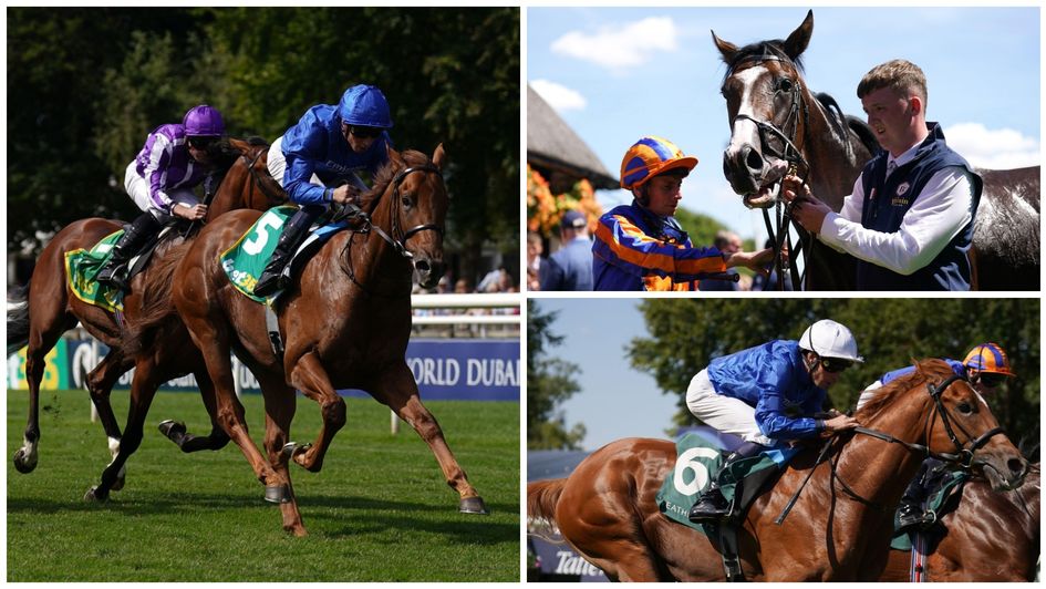 July Festival winners