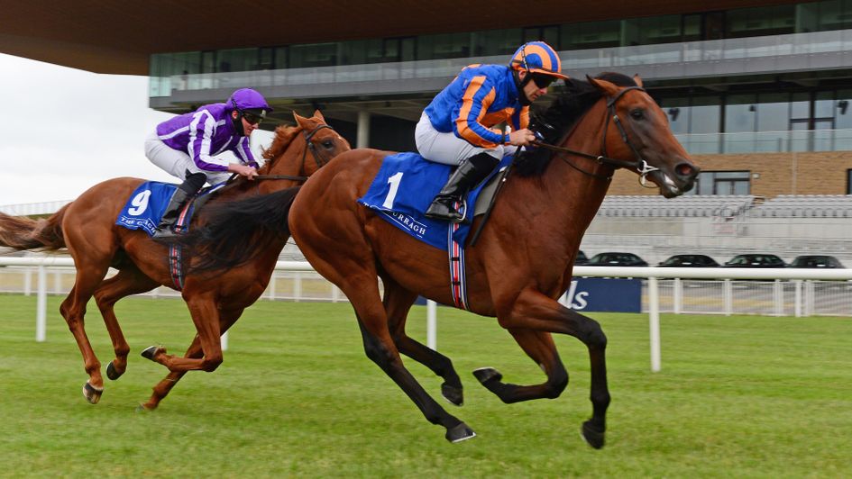 Admiral Nelson puts up a taking performance at the Curragh