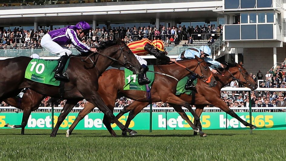 The Mackem Bullet is touched off by Fairyland in the Cheveley Park